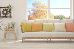 Buy Paints online Autumn season collection