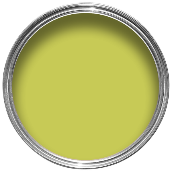 C7CA56-tin