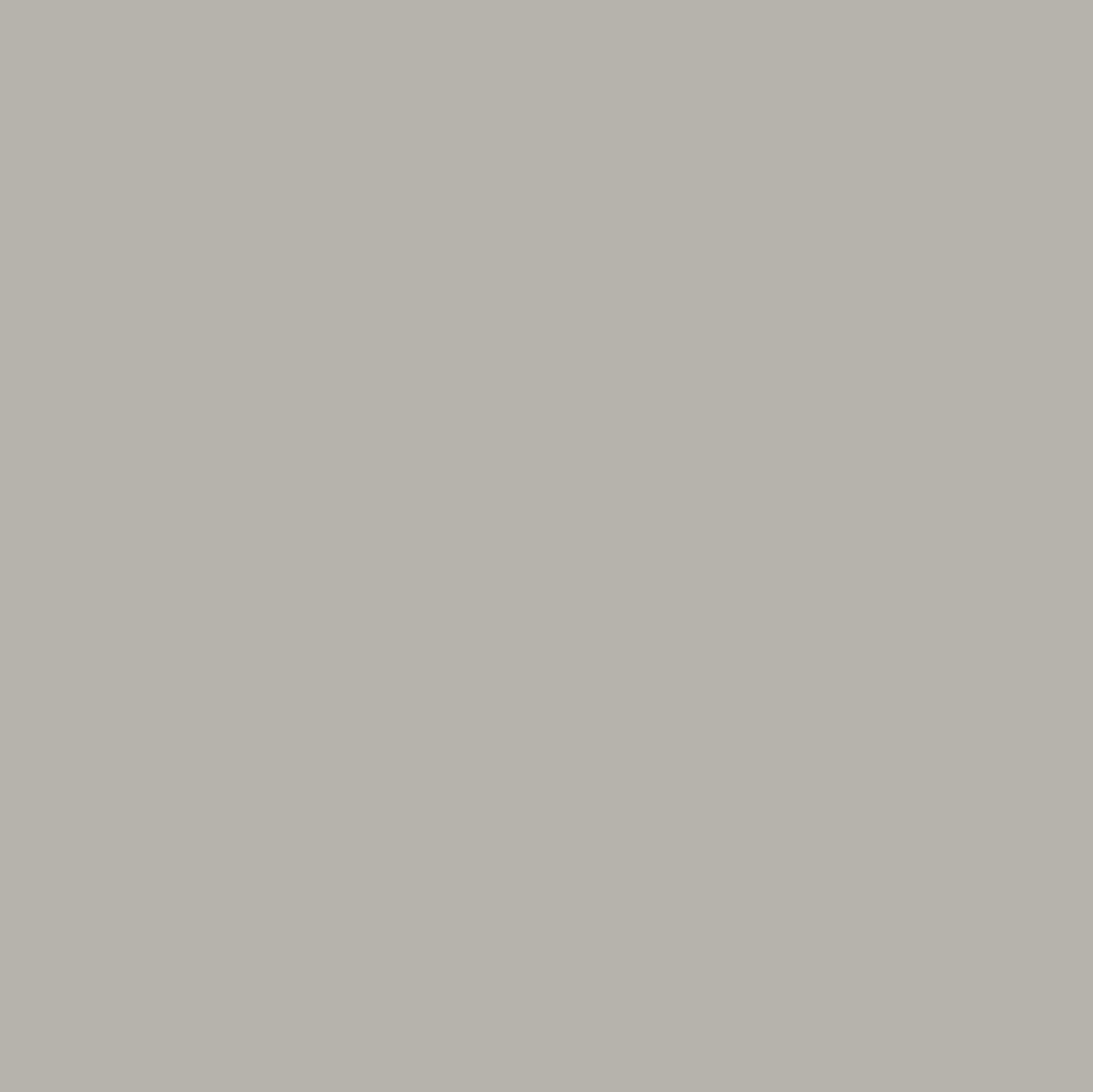 Dark Dove Grey Buy Paints Online UK