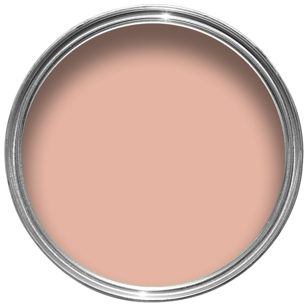 E5B4A3-tin