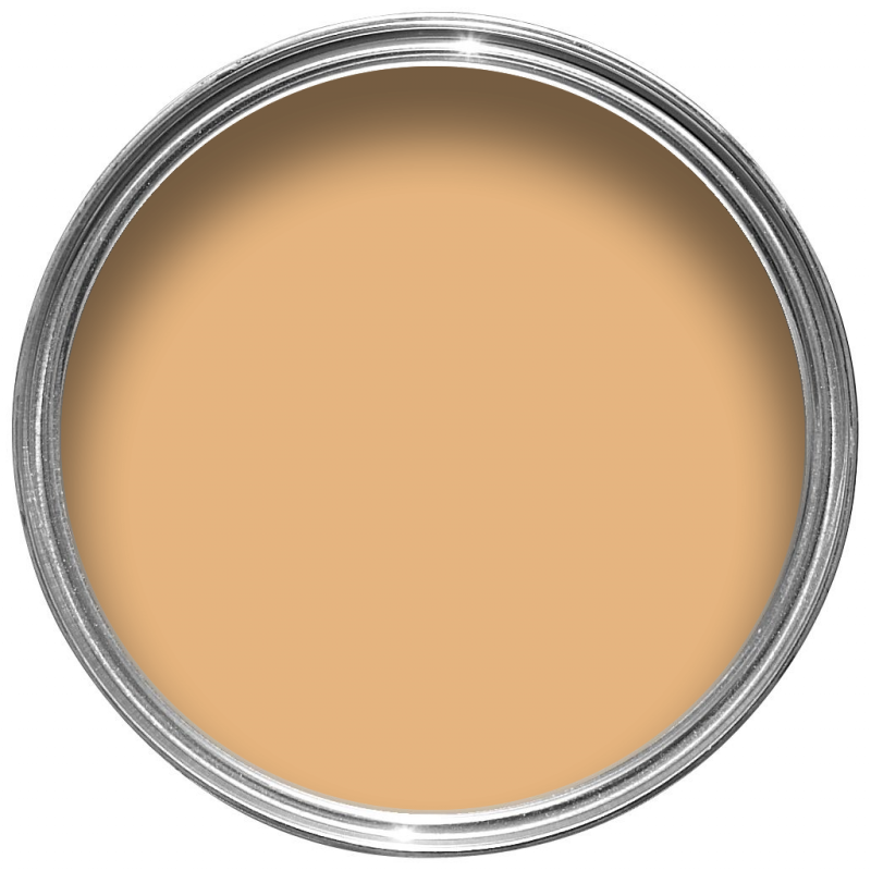 Poached Peach Dulux Trade Paints, Muted, Orange Buy Paints Online Ireland