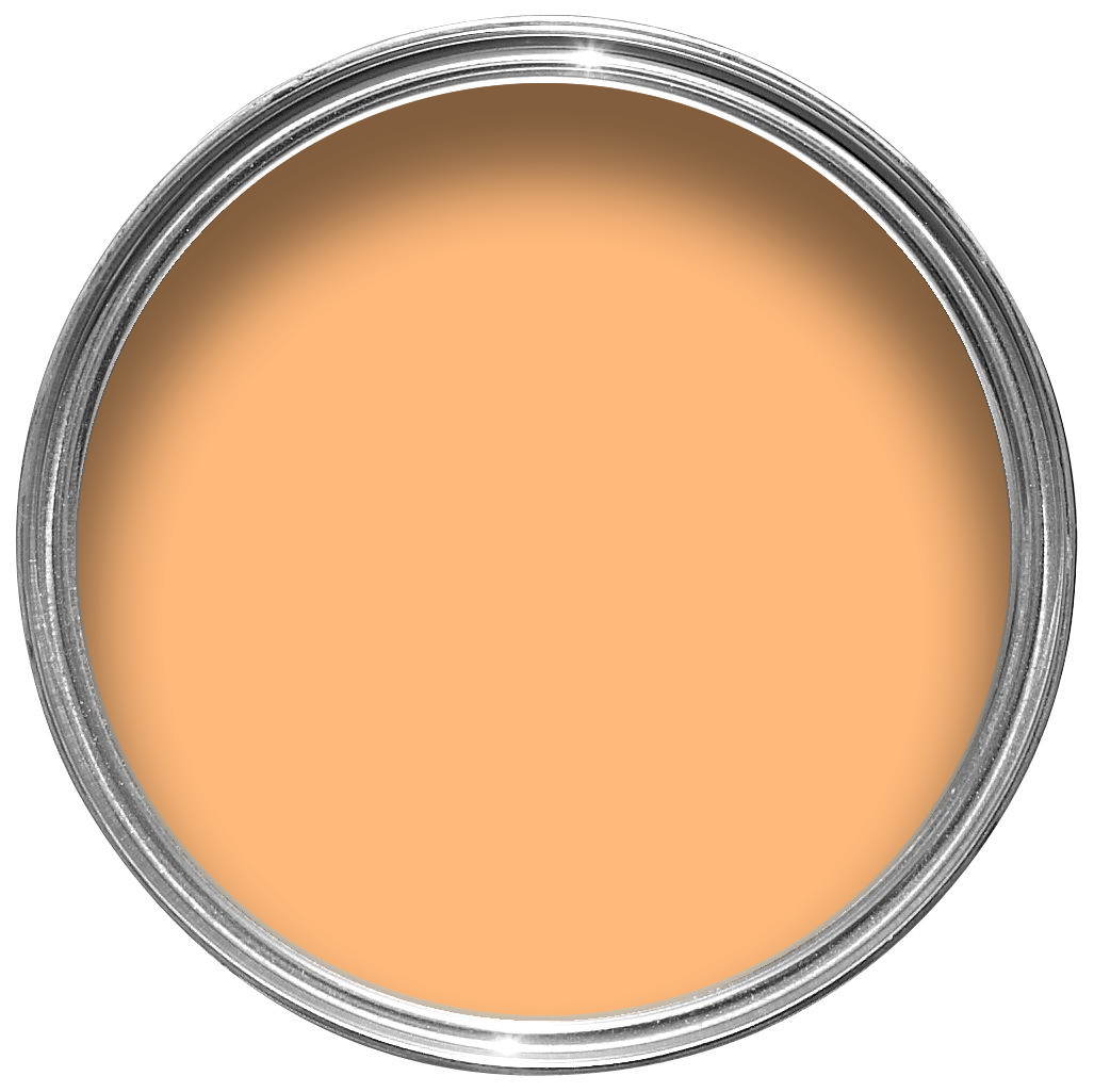 FFB97B-tin-1.png