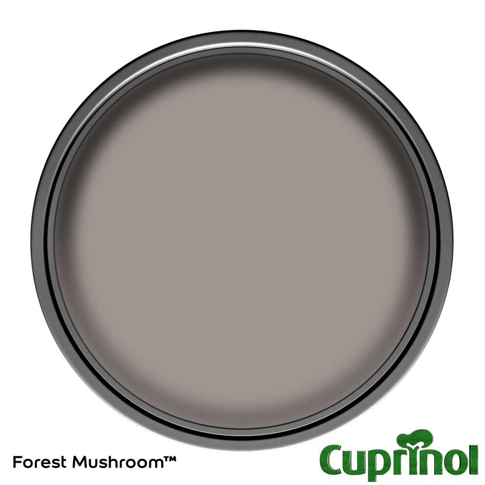 Forest Mushroom Garden Shades Buy Paints Online UK