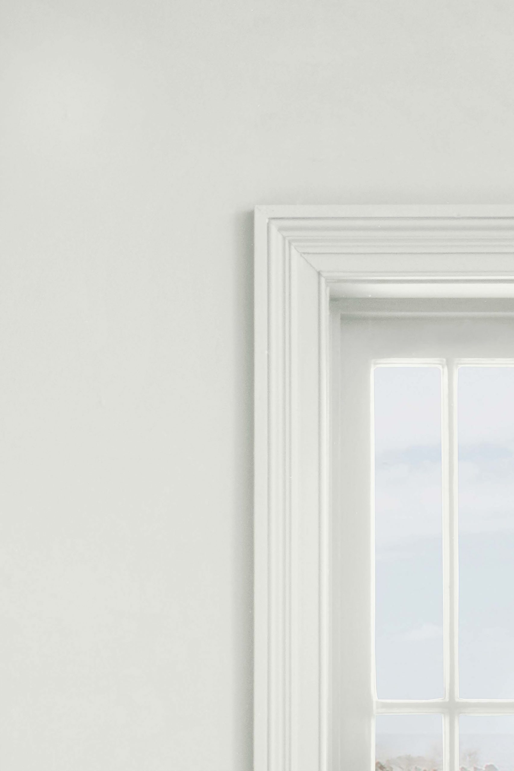 NEXT PAINT ASHINGTON WHITE 117907 2.5lt Buy Paints Online UK