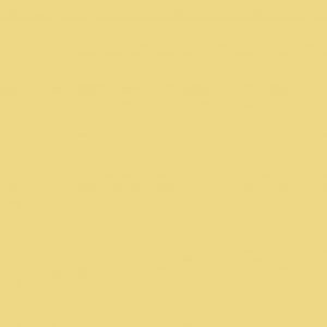 Mustard Jar