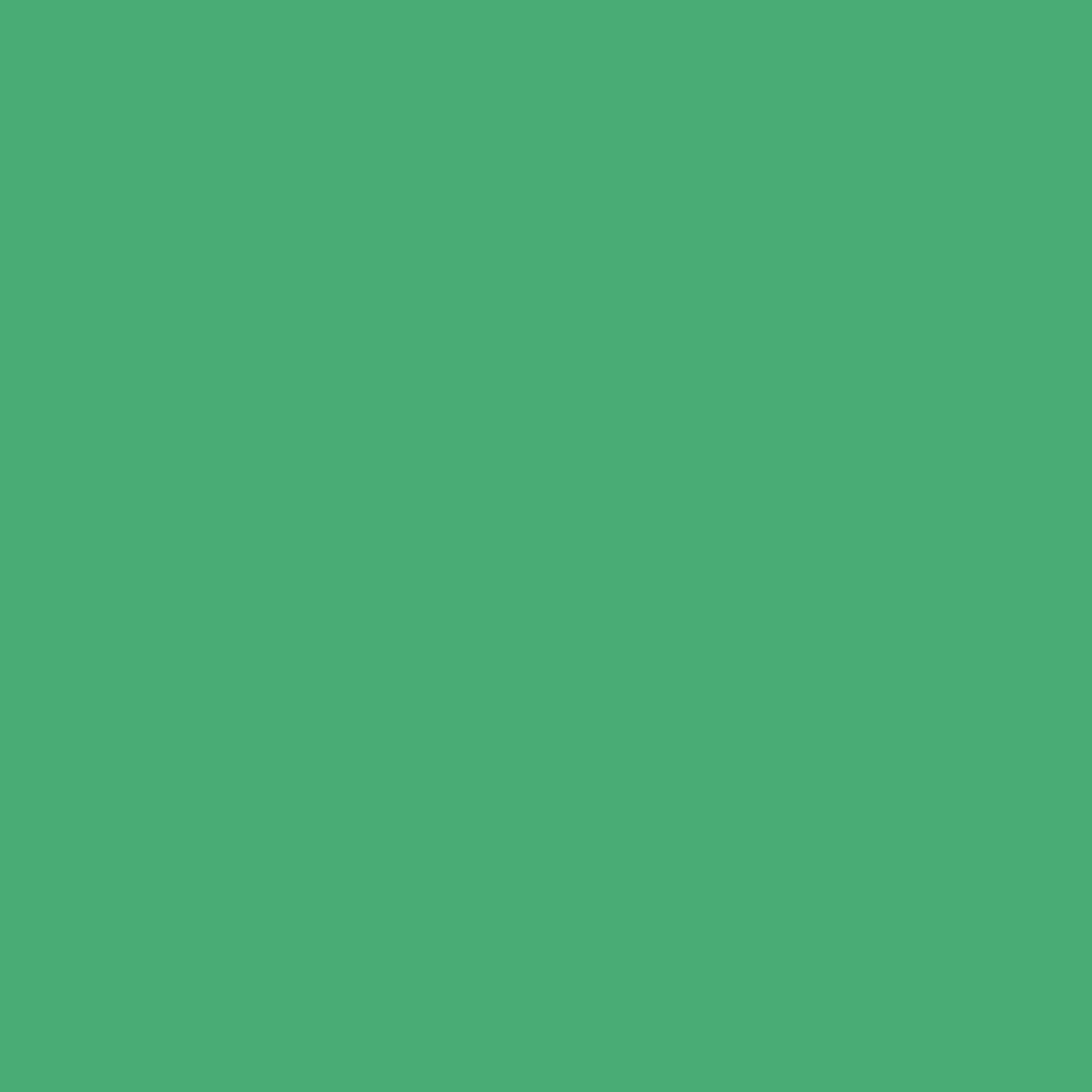 celery leaf
