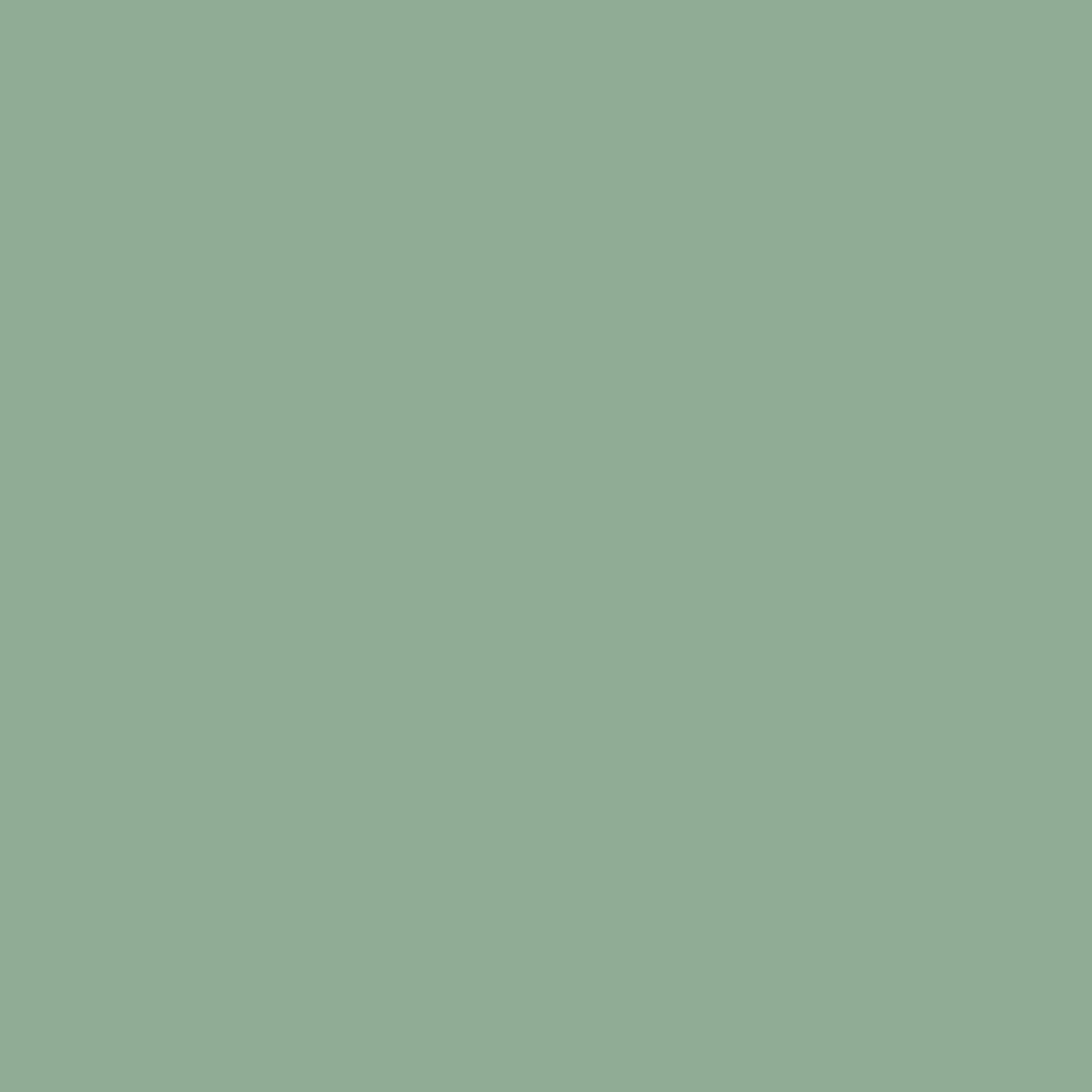 chicago grey