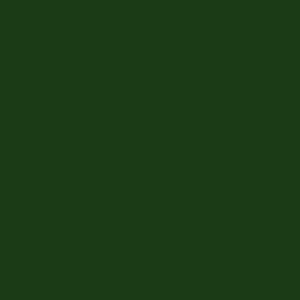 Crown Trade Fast Drying Concrete Floor Paint Mid Green 5L